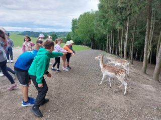 20230612_102903_copy_1280x960